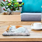 Sleeping Cute Cat for Car Dashboard Creative and Activated Carbon Simulation cat Golden and White