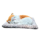 Sleeping Cute Cat for Car Dashboard Creative and Activated Carbon Simulation cat Golden and White